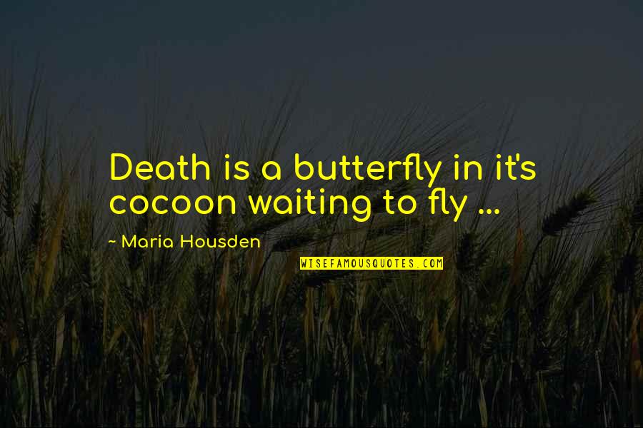 Odajima Patent Quotes By Maria Housden: Death is a butterfly in it's cocoon waiting