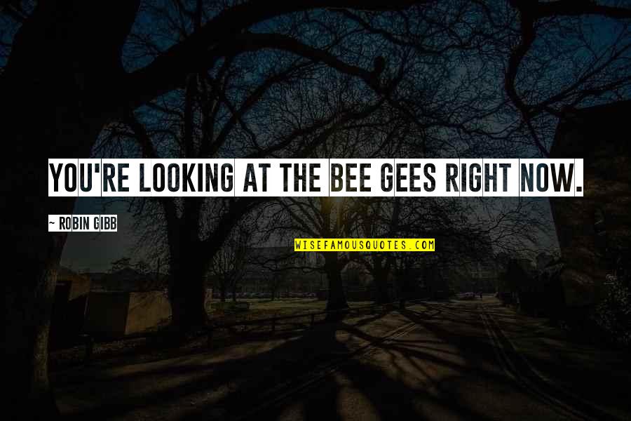 Odd Couple Play Quotes By Robin Gibb: You're looking at the Bee Gees right now. Odd Couple Play Quotes By Robin Gibb: You're looking at the Bee Gees right now.