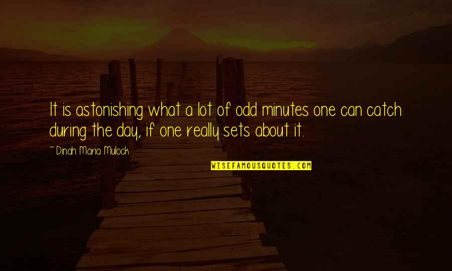 Oddenkov Quotes By Dinah Maria Mulock: It is astonishing what a lot of odd Oddenkov Quotes By Dinah Maria Mulock: It is astonishing what a lot of odd