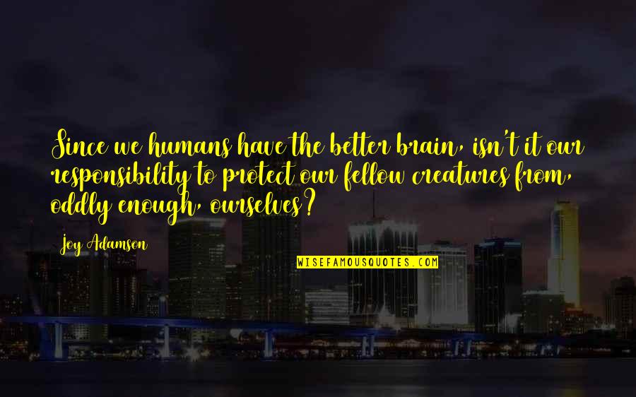 Oddly Quotes By Joy Adamson: Since we humans have the better brain, isn't