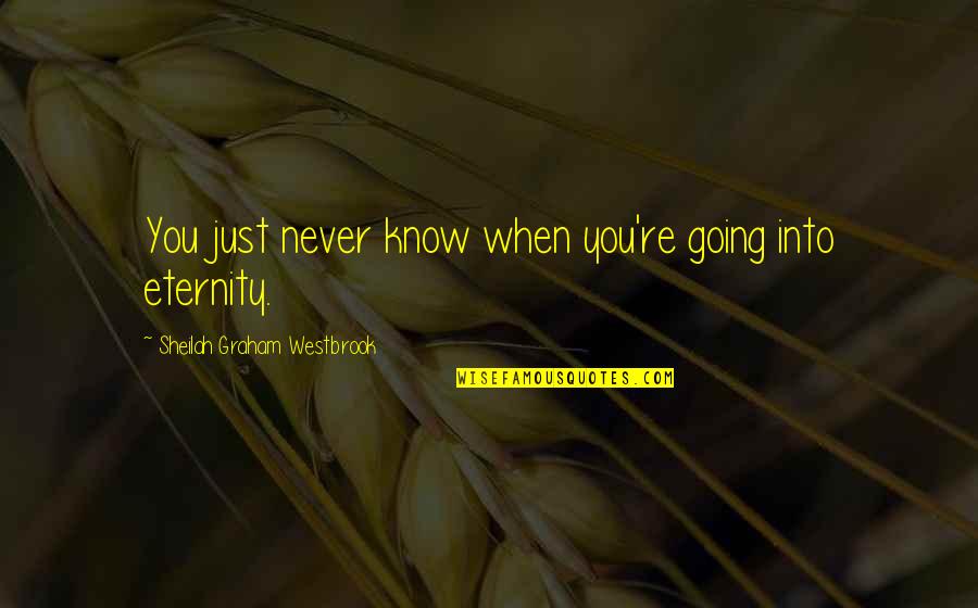 Oddvin Rykken Quotes By Sheilah Graham Westbrook: You just never know when you're going into Oddvin Rykken Quotes By Sheilah Graham Westbrook: You just never know when you're going into