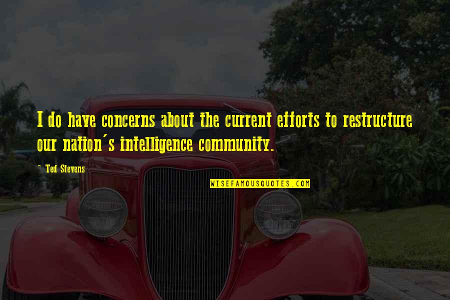 Odilie Reinosa Quotes By Ted Stevens: I do have concerns about the current efforts