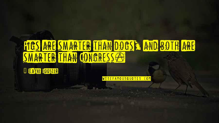 Odin Dupeyron Quotes By Elayne Boosler: Pigs are smarter than dogs, and both are
