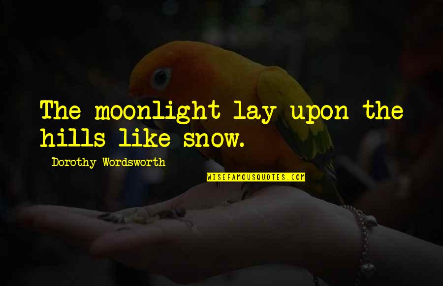 Odius T Quotes By Dorothy Wordsworth: The moonlight lay upon the hills like snow.