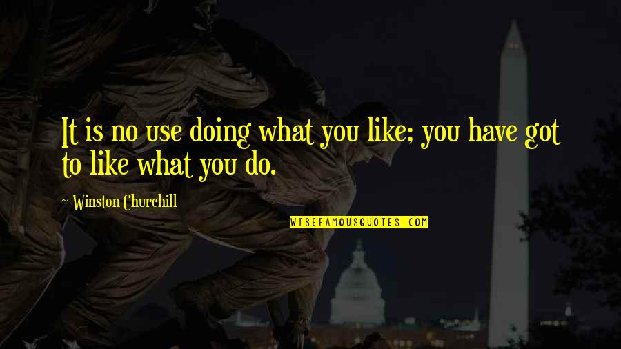 Odjeljenje Quotes By Winston Churchill: It is no use doing what you like; Odjeljenje Quotes By Winston Churchill: It is no use doing what you like;