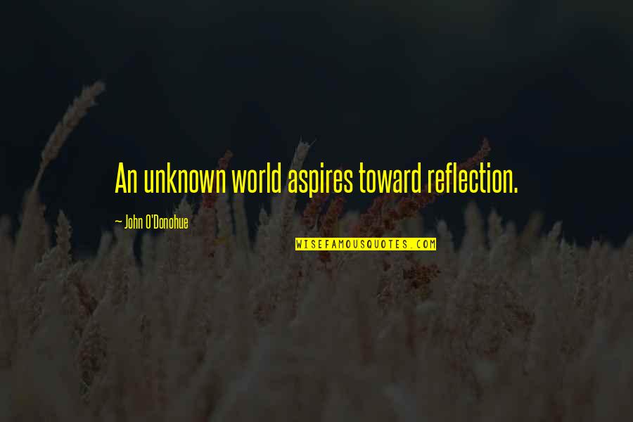 O'donohue Quotes By John O'Donohue: An unknown world aspires toward reflection.