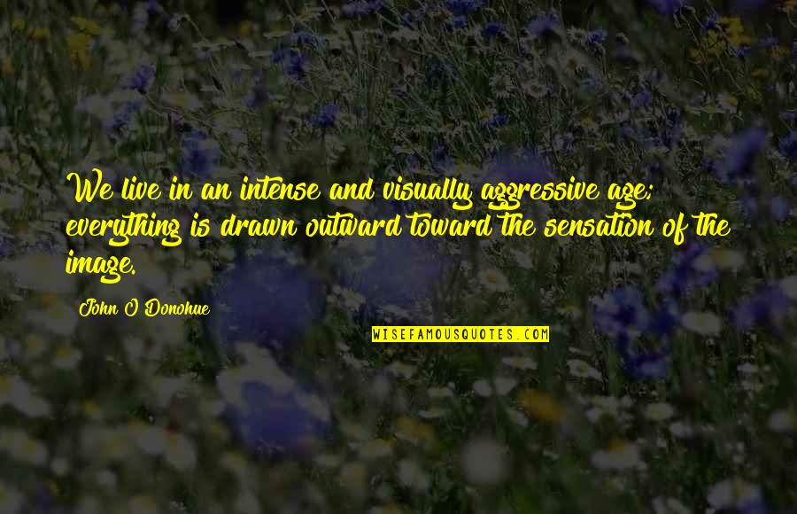 O'donohue Quotes By John O'Donohue: We live in an intense and visually aggressive