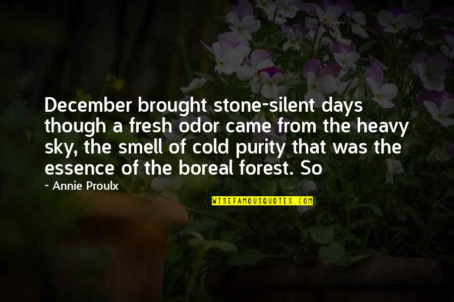 Odor Quotes By Annie Proulx: December brought stone-silent days though a fresh odor