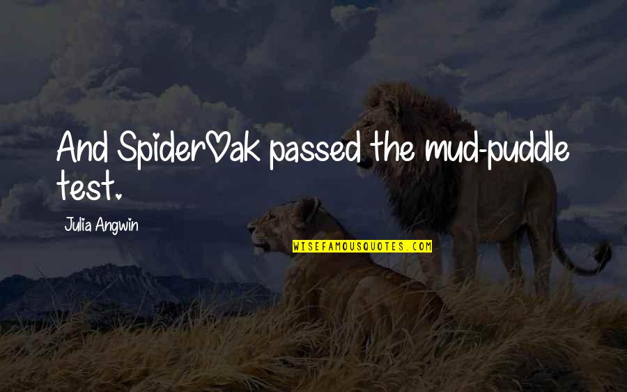 Odranije Quotes By Julia Angwin: And SpiderOak passed the mud-puddle test. Odranije Quotes By Julia Angwin: And SpiderOak passed the mud-puddle test.