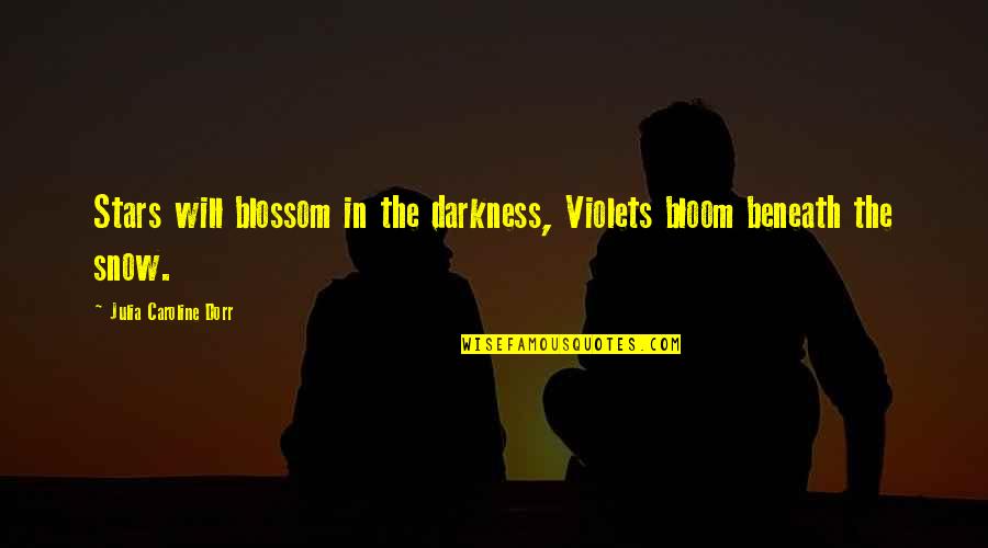 Odysseus Cleverness Quotes By Julia Caroline Dorr: Stars will blossom in the darkness, Violets bloom