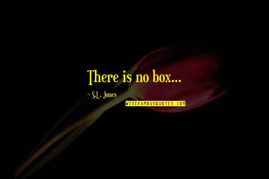 Oellers Hotel Quotes By S.L. Jones: There is no box...
