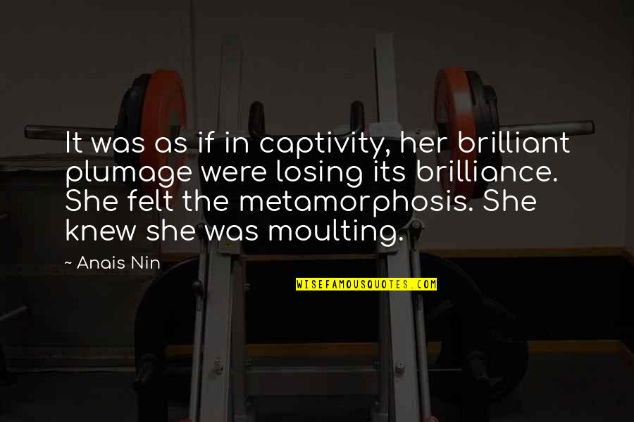 Oenomaus Doctore Quotes By Anais Nin: It was as if in captivity, her brilliant Oenomaus Doctore Quotes By Anais Nin: It was as if in captivity, her brilliant