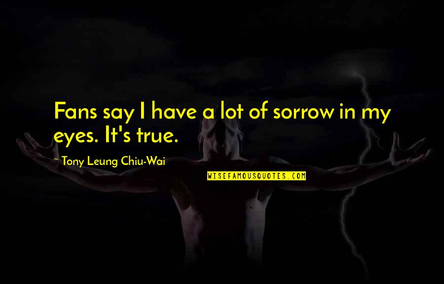 Of My Eyes Quotes By Tony Leung Chiu-Wai: Fans say I have a lot of sorrow