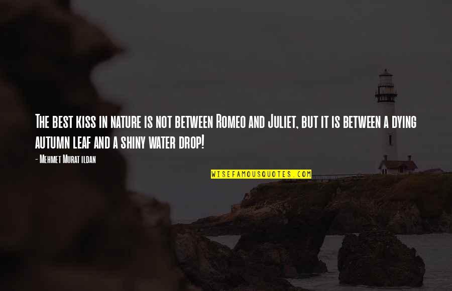 Of Romeo And Juliet Quotes By Mehmet Murat Ildan: The best kiss in nature is not between Of Romeo And Juliet Quotes By Mehmet Murat Ildan: The best kiss in nature is not between