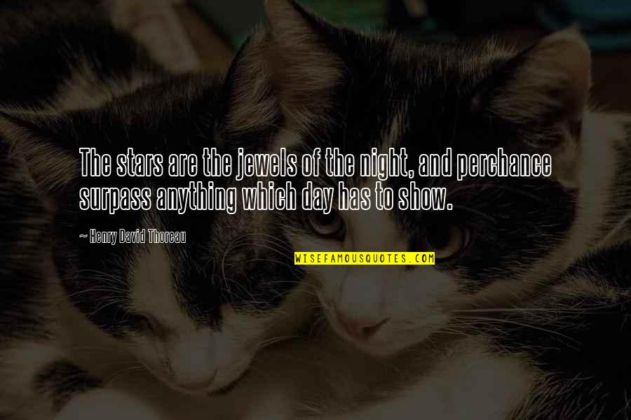 Of The Day Quotes By Henry David Thoreau: The stars are the jewels of the night,