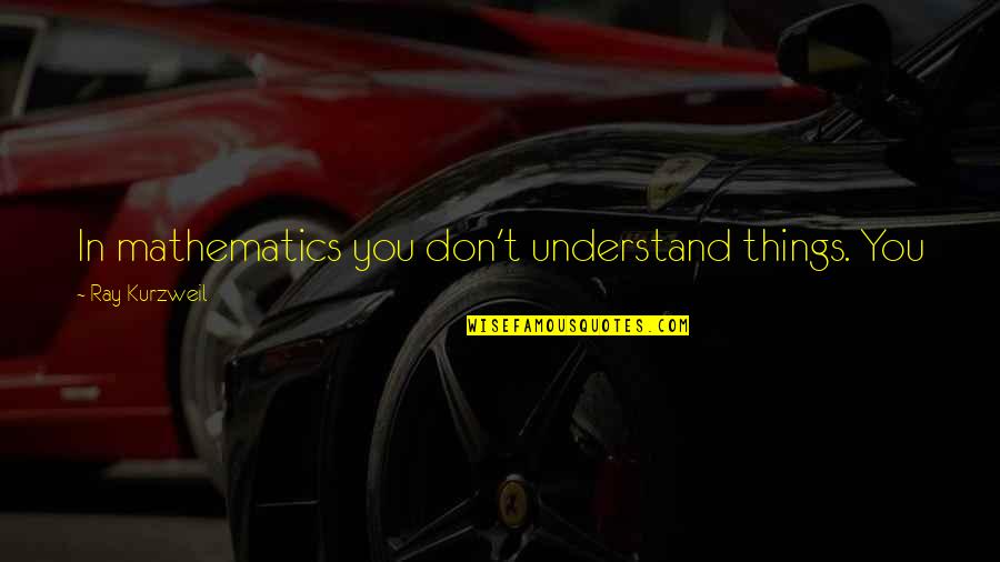 Ofenderse Quotes By Ray Kurzweil: In mathematics you don't understand things. You just