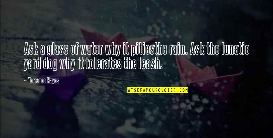 Off Leash Quotes By Terrance Hayes: Ask a glass of water why it pitiesthe