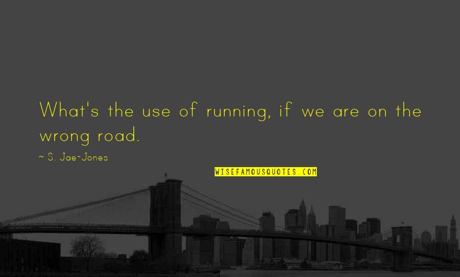 Off Road Running Quotes By S. Jae-Jones: What's the use of running, if we are