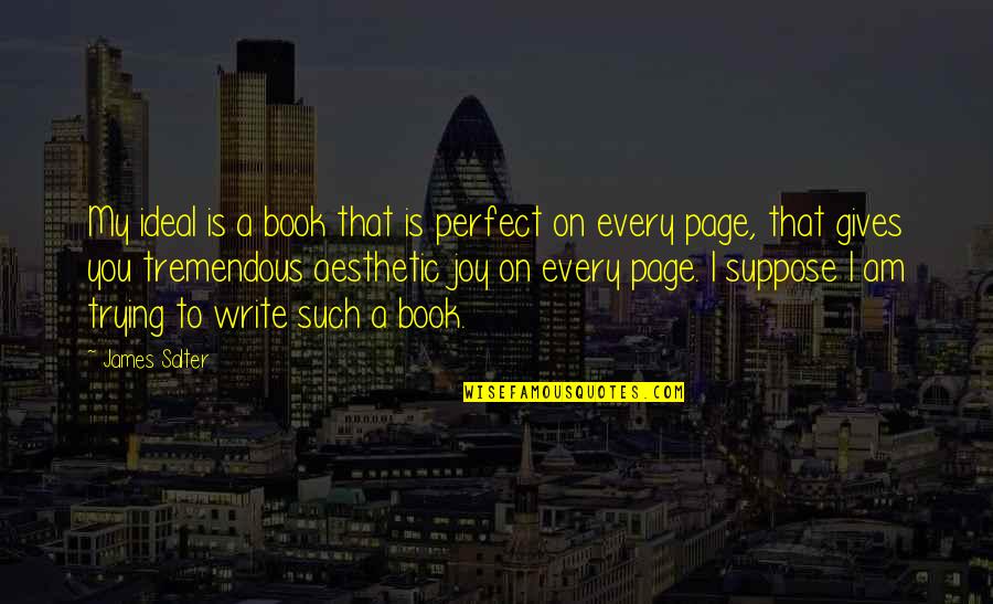 Off The Page Book Quotes By James Salter: My ideal is a book that is perfect Off The Page Book Quotes By James Salter: My ideal is a book that is perfect