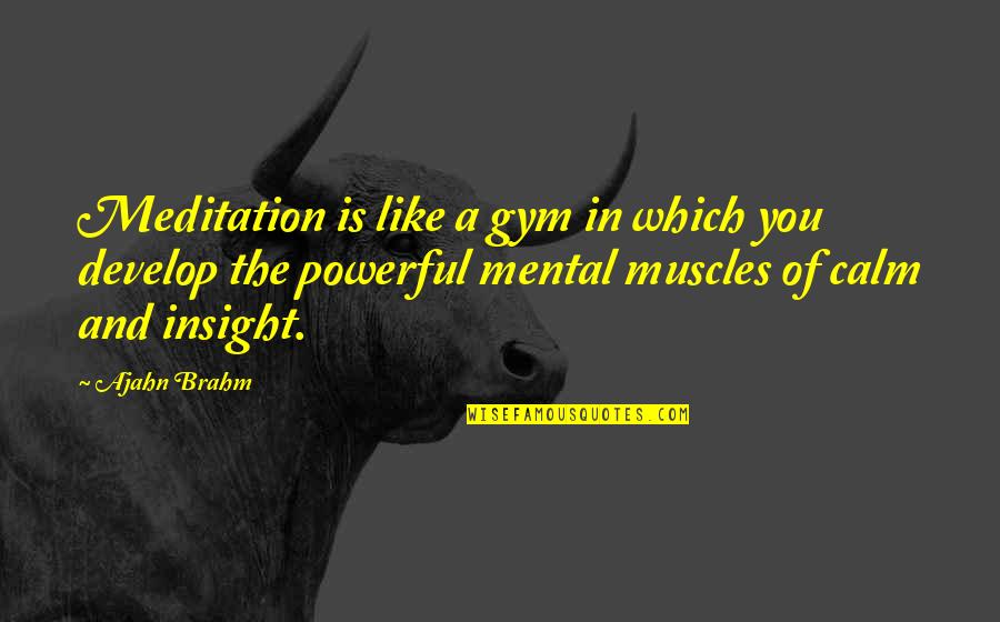 Off To The Gym Quotes By Ajahn Brahm: Meditation is like a gym in which you