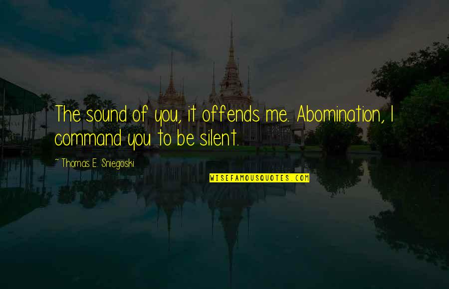 Offends Me Quotes By Thomas E. Sniegoski: The sound of you, it offends me. Abomination, Offends Me Quotes By Thomas E. Sniegoski: The sound of you, it offends me. Abomination,