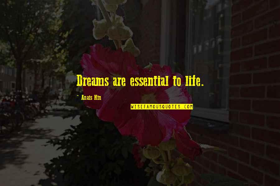 Offensively Obvious Crossword Quotes By Anais Nin: Dreams are essential to life.