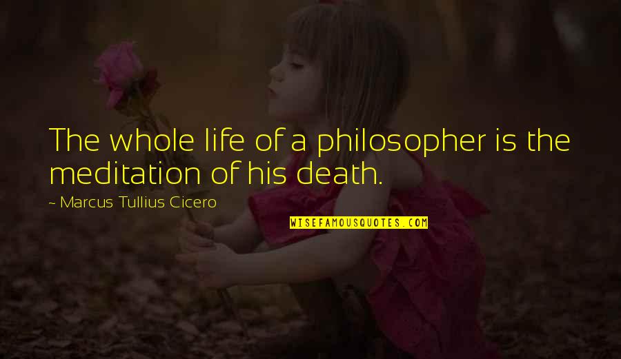 Officiated Wsj Quotes By Marcus Tullius Cicero: The whole life of a philosopher is the Officiated Wsj Quotes By Marcus Tullius Cicero: The whole life of a philosopher is the