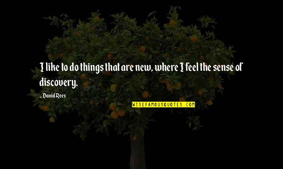Offishally One Quotes By David Rees: I like to do things that are new,