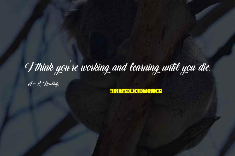 Oficinistas Con Quotes By J.K. Rowling: I think you're working and learning until you