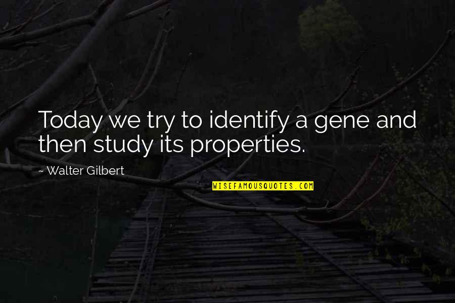 Ofili's Quotes By Walter Gilbert: Today we try to identify a gene and