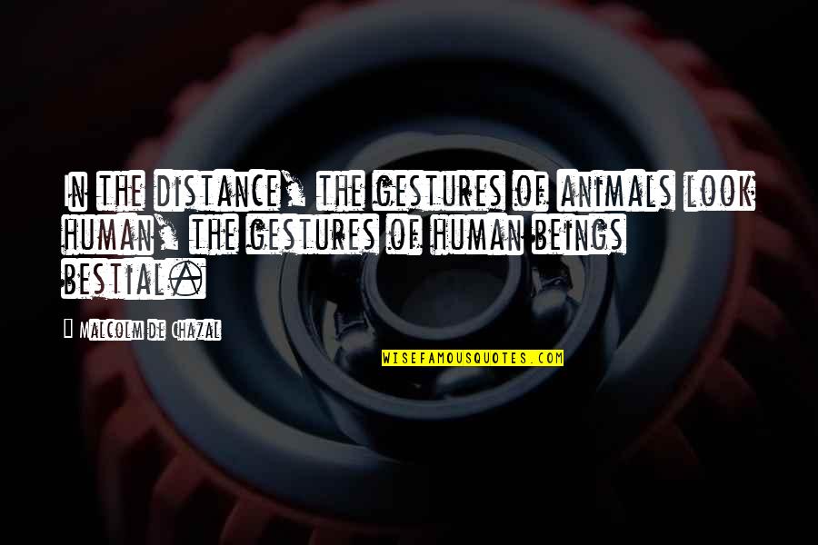Ofmess3082gry Quotes By Malcolm De Chazal: In the distance, the gestures of animals look Ofmess3082gry Quotes By Malcolm De Chazal: In the distance, the gestures of animals look