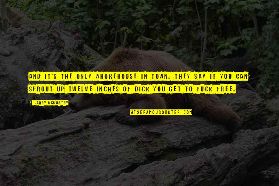 Ofunam Quotes By Larry McMurtry: And it's the only whorehouse in town. They