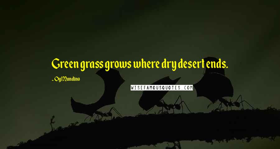 Og Mandino quotes: Green grass grows where dry desert ends.