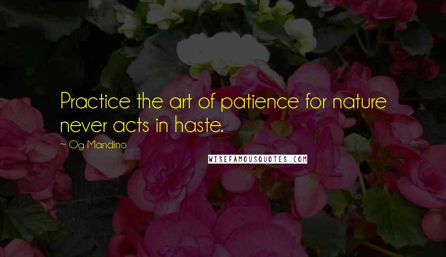 Og Mandino quotes: Practice the art of patience for nature never acts in haste.