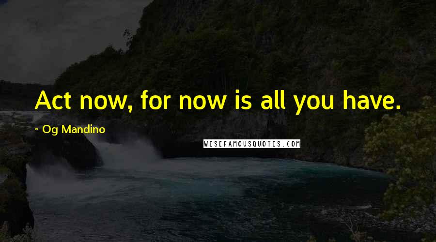Og Mandino quotes: Act now, for now is all you have.