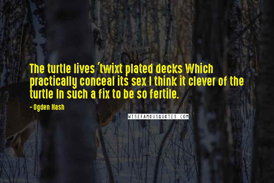 Ogden Nash quotes: The turtle lives 'twixt plated decks Which practically conceal its sex I think it clever of the turtle In such a fix to be so fertile.