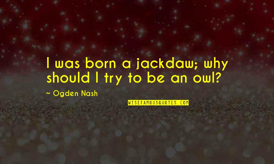 Ogden Quotes By Ogden Nash: I was born a jackdaw; why should I