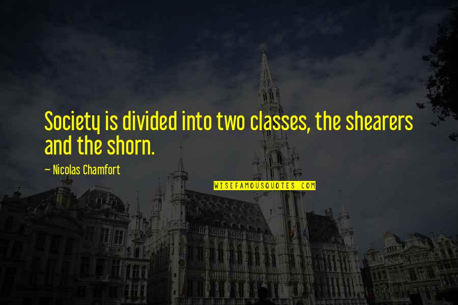 Ogromni Quotes By Nicolas Chamfort: Society is divided into two classes, the shearers Ogromni Quotes By Nicolas Chamfort: Society is divided into two classes, the shearers