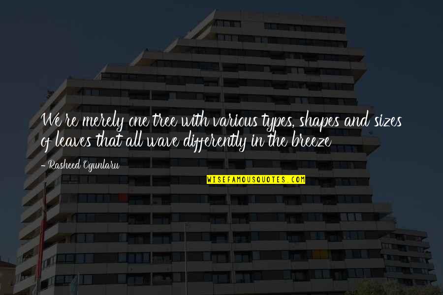 Ogunlaru Quotes By Rasheed Ogunlaru: We're merely one tree with various types, shapes