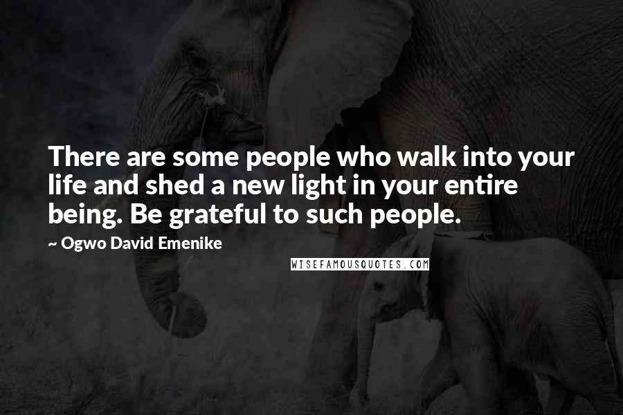 Ogwo David Emenike quotes: There are some people who walk into your life and shed a new light in your entire being. Be grateful to such people.