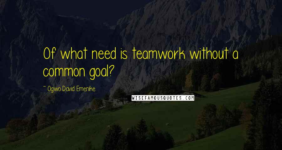 Ogwo David Emenike quotes: Of what need is teamwork without a common goal?