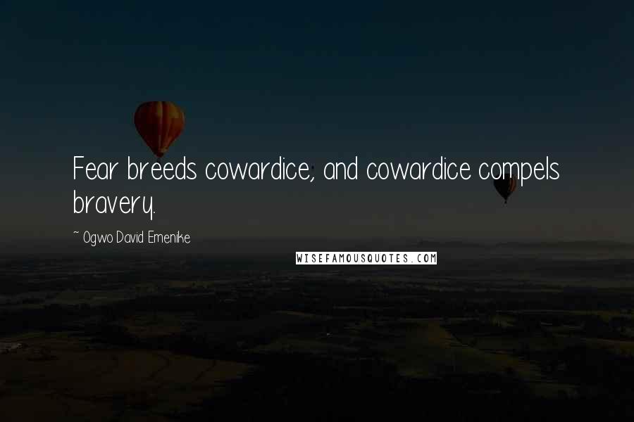Ogwo David Emenike quotes: Fear breeds cowardice, and cowardice compels bravery.