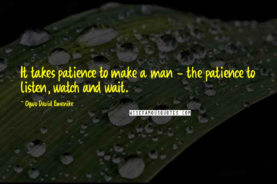 Ogwo David Emenike quotes: It takes patience to make a man - the patience to listen, watch and wait.