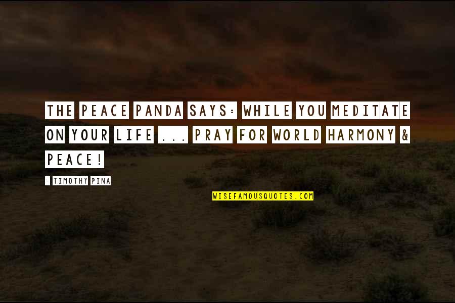 Oh God Please Forgive Me Quotes By Timothy Pina: The Peace Panda Says: While you meditate on Oh God Please Forgive Me Quotes By Timothy Pina: The Peace Panda Says: While you meditate on