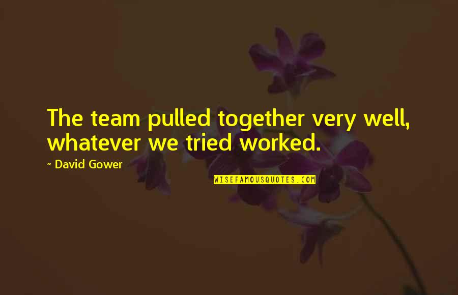 Oh Well I Tried Quotes By David Gower: The team pulled together very well, whatever we