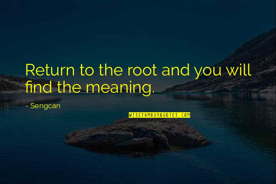 Ohlssons Quotes By Sengcan: Return to the root and you will find