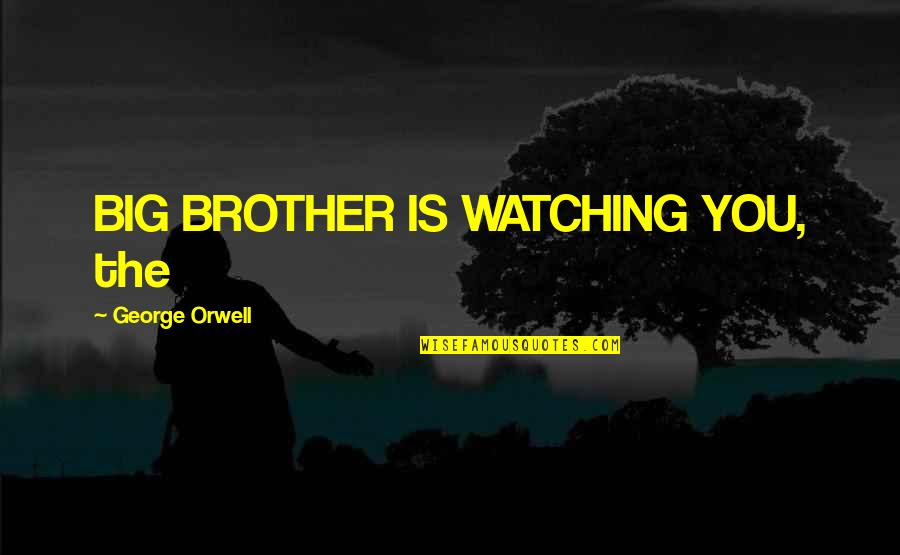 Ohm Quotes By George Orwell: BIG BROTHER IS WATCHING YOU, the