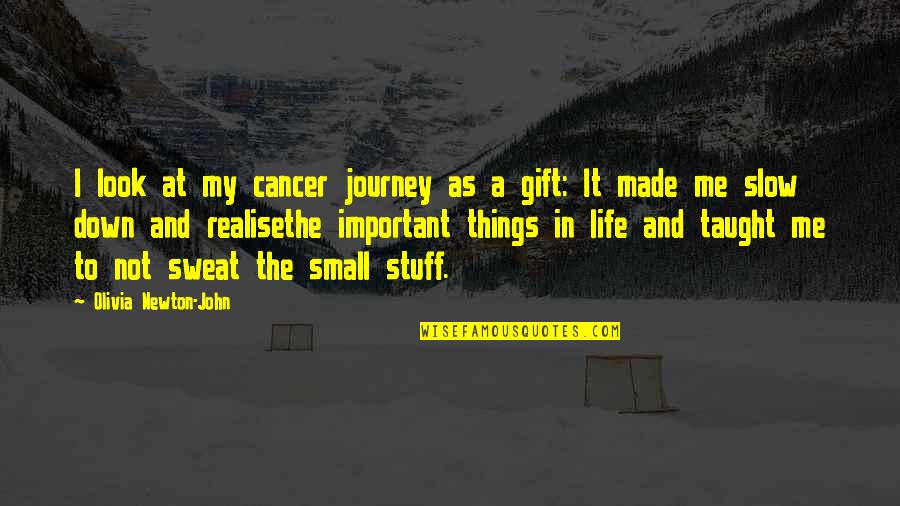 Oido Anatomia Quotes By Olivia Newton-John: I look at my cancer journey as a Oido Anatomia Quotes By Olivia Newton-John: I look at my cancer journey as a