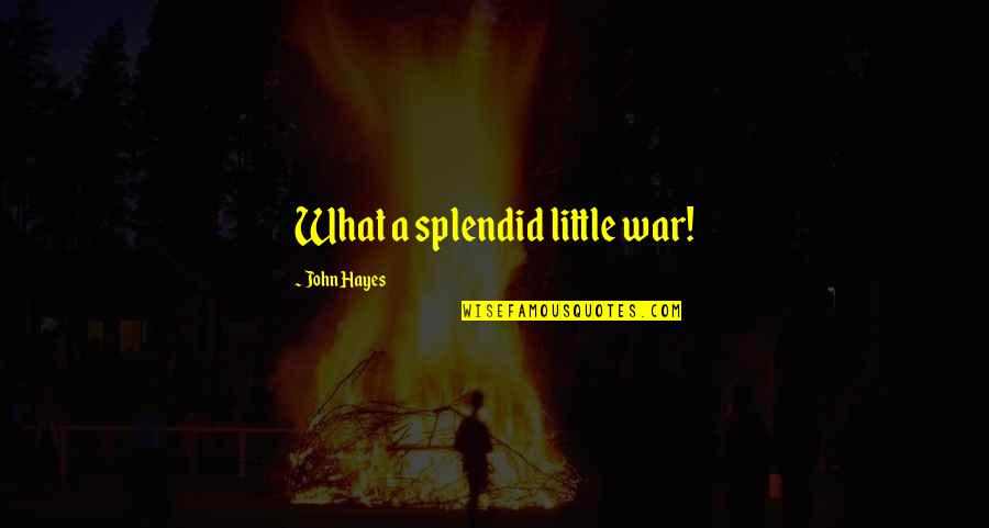 Oil Spillage Quotes By John Hayes: What a splendid little war!