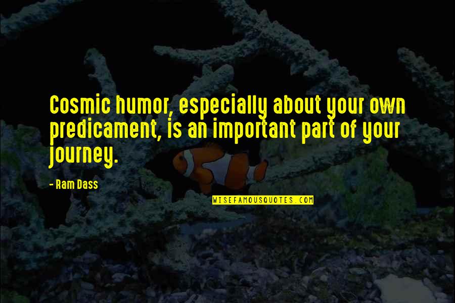 Oined Quotes By Ram Dass: Cosmic humor, especially about your own predicament, is